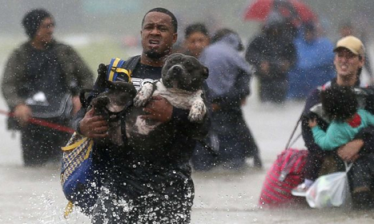 Hurricane Harvey: Texas Flood Response
