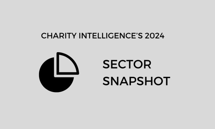 Charity Intelligence's 2024 Sector Snapshot