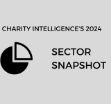 Charity Intelligence's 2024 Sector Snapshot